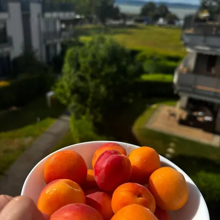 Luna Apartman